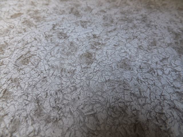 カビが生えたところに細かなヒビ